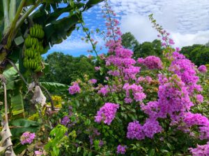 Galapagos Yoga Retreat