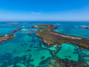 Galapagos Yoga Retreat